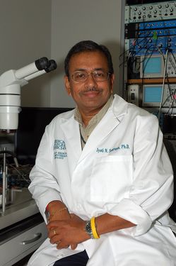 Jyoti N. Sengupta